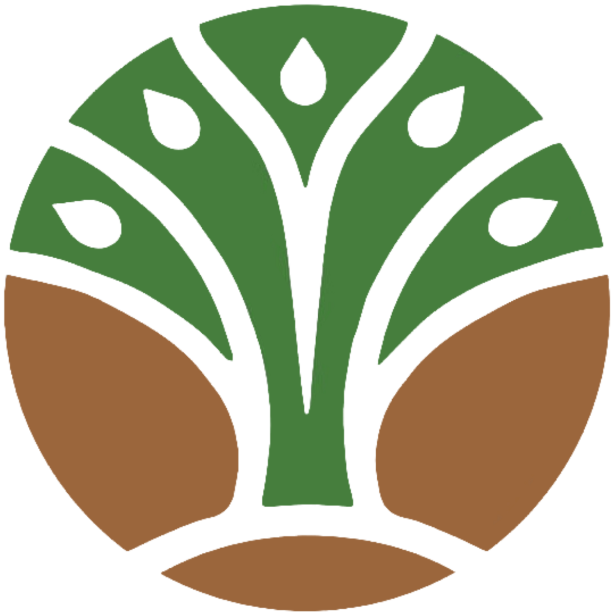 Direktorat Perbenihan Tanaman Hutan